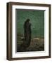 Prophet Amos, engraving by Gustave Doré - Bible-Gustave Dore-Framed Giclee Print