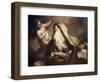 Prophet Isaiah-Antonio Balestra-Framed Giclee Print