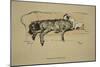 Propitation, 1930, 1st Edition of Sleeping Partners-Cecil Aldin-Mounted Giclee Print