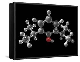 Propofol Molecule-Laguna Design-Framed Stretched Canvas