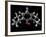 Propofol Molecule-Laguna Design-Framed Photographic Print