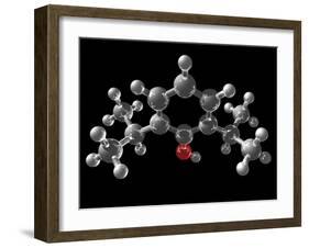 Propofol Molecule-Laguna Design-Framed Photographic Print