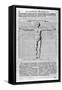 Proportions of Man, 1675-Athanasius Kircher-Framed Stretched Canvas
