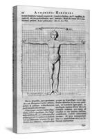 Proportions of Man, 1675-Athanasius Kircher-Stretched Canvas