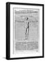 Proportions of Man, 1675-Athanasius Kircher-Framed Giclee Print