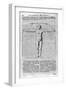 Proportions of Man, 1675-Athanasius Kircher-Framed Giclee Print