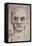 Proportions of the Face-Leonardo da Vinci-Framed Stretched Canvas