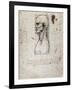 Proportions of the Face-null-Framed Giclee Print