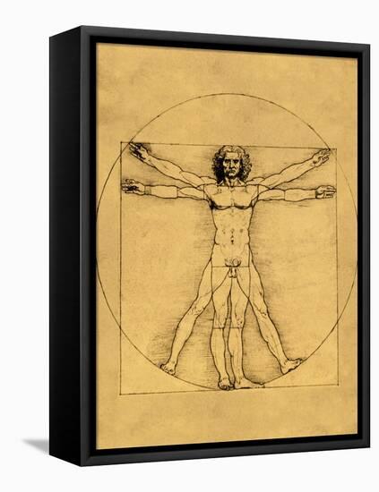 Proportions of the Human Figure-Leonardo da Vinci-Framed Stretched Canvas