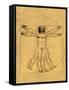 Proportions of the Human Figure-Leonardo da Vinci-Framed Stretched Canvas