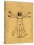 Proportions of the Human Figure-Leonardo da Vinci-Stretched Canvas