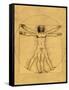 Proportions of the Human Figure-Leonardo da Vinci-Framed Stretched Canvas