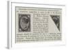 Proposed Diagonally-Perforated Postage-Stamps-null-Framed Giclee Print
