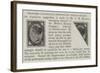 Proposed Diagonally-Perforated Postage-Stamps-null-Framed Giclee Print