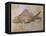 Propterus Elongatus Fish Fossil-Naturfoto Honal-Framed Stretched Canvas