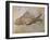 Propterus Elongatus Fish Fossil-Naturfoto Honal-Framed Premium Photographic Print