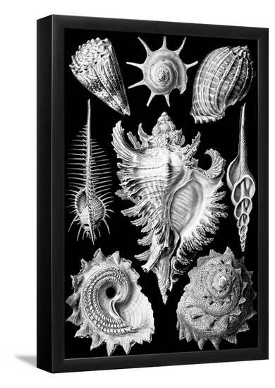 Poster, , large
