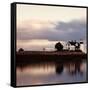 Prospect Light Panoramica 2 color 1 of 3-Moises Levy-Framed Stretched Canvas