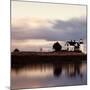 Prospect Light Panoramica 2 color 1 of 3-Moises Levy-Mounted Photographic Print