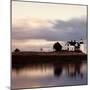 Prospect Light Panoramica 2 color 1 of 3-Moises Levy-Mounted Photographic Print