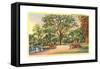 Prospect Park, Brooklyn, NY-null-Framed Stretched Canvas