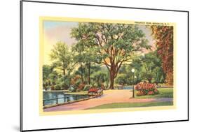 Prospect Park, Brooklyn, NY-null-Mounted Premium Giclee Print