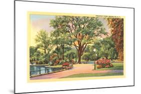 Prospect Park, Brooklyn, NY-null-Mounted Art Print