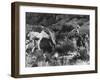 Prospector Travis Marlowe Continuing His Search in Superstition Mountains of Southern Arizona-Bill Ray-Framed Photographic Print