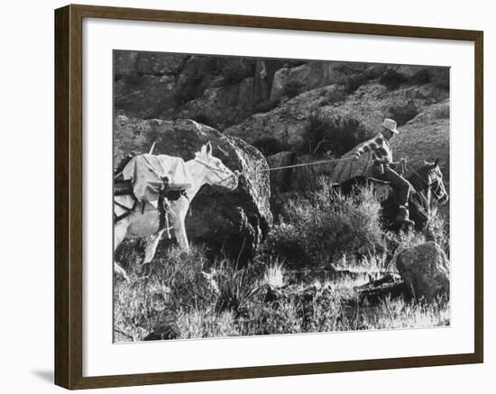 Prospector Travis Marlowe Continuing His Search in Superstition Mountains of Southern Arizona-Bill Ray-Framed Photographic Print