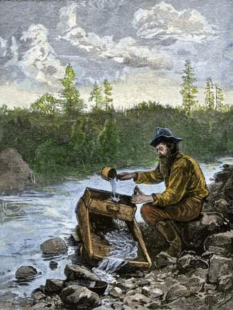 California Gold Rush Posters & Wall Art Prints | AllPosters.com