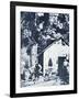 Prospectors at Clear Creek, Near Shasta, California, C.1849-null-Framed Photographic Print