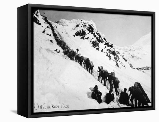 Prospectors Climbing the Chilkoot Pass During the Klondike Gold Rush-null-Framed Stretched Canvas