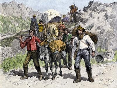 California Gold Rush Posters & Wall Art Prints | AllPosters.com California Gold Rush Posters & Wall Art Prints | AllPosters.com