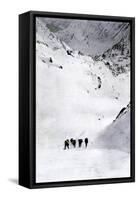 Prospectors Nearing Summit of the Chilkoot Pass during the Alaska Gold Rush, c.1897-null-Framed Stretched Canvas