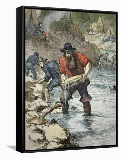 Prospectors Panning For Gold During the Californian Gold Rush of 1849-null-Framed Stretched Canvas