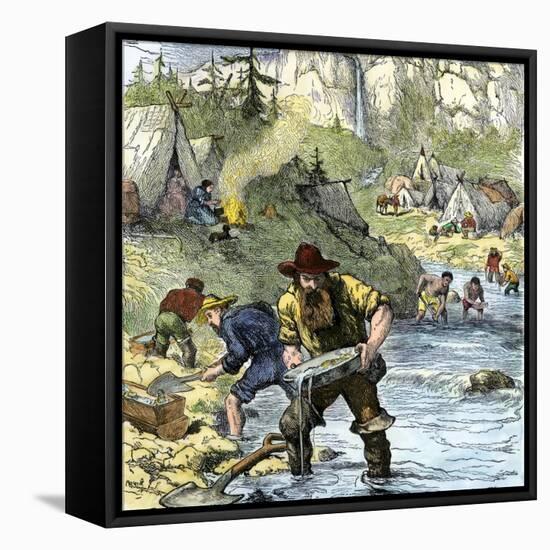 Prospectors Panning for Gold in the California Gold Rush-null-Framed Stretched Canvas