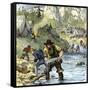 Prospectors Panning for Gold in the California Gold Rush-null-Framed Stretched Canvas