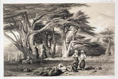 Arabs and Camels in Wooded Landscape-Prosper Georges Antoine Marilhat-Giclee Print