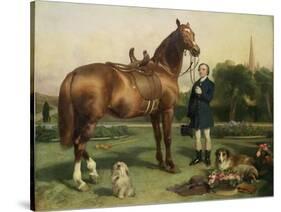 Prosperity-Edwin Henry Landseer-Stretched Canvas