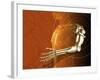 Prosthetic Robotic Arm, Computer Artwork-Victor Habbick-Framed Photographic Print