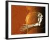 Prosthetic Robotic Arm, Computer Artwork-Victor Habbick-Framed Photographic Print