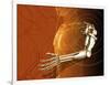 Prosthetic Robotic Arm, Computer Artwork-Victor Habbick-Framed Photographic Print