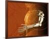 Prosthetic Robotic Arm, Computer Artwork-Victor Habbick-Framed Photographic Print