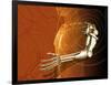 Prosthetic Robotic Arm, Computer Artwork-Victor Habbick-Framed Photographic Print