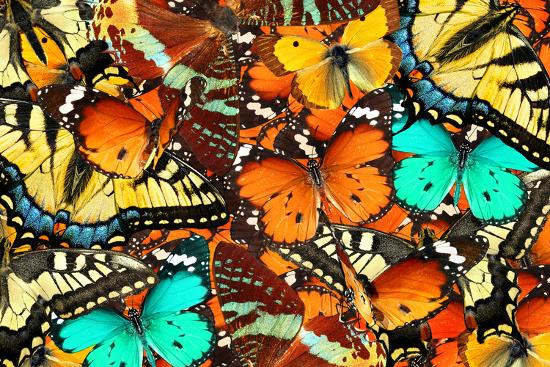 Photographic Print, , large
