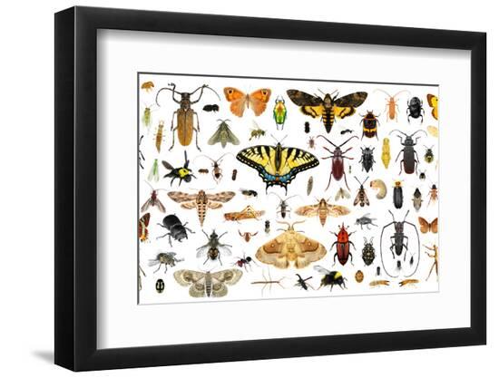 Photographic Print, , large