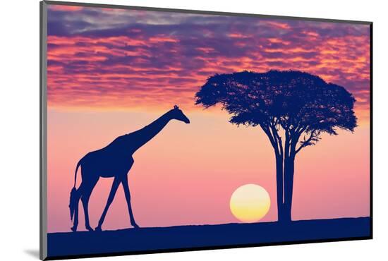 Photographic Print, , large