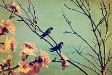 Vintage Spring Image with Swallows and Tree Blossom.Textured Old Paper Background with Conceptual N-Protasov AN-Photographic Print