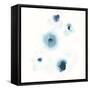 Protea Blue II-June Vess-Framed Stretched Canvas