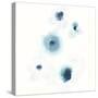 Protea Blue II-June Vess-Stretched Canvas